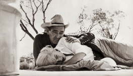 𝙉𝙤𝙞𝙧 𝙚𝙣 𝙨𝙖𝙡𝙡𝙚