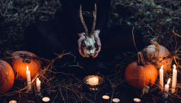 Quand la science s’intéresse aux potions des sorcières