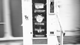 Quatrième cycle 5/5