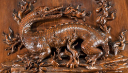 Les salamandres - Créatures de feu?