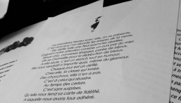 Les premières heures avec elle...