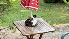 Le jardin du 10 Septembre 