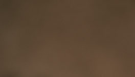 7 janvier 2021 - 10h52