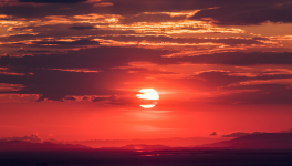 Chronique de "Quand les souvenirs viennent à ma rencontre"