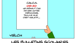 les bulletins scolaires d'Albert Einstein : calcul