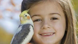 L'oiseau et l'enfant