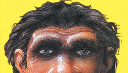 Pourquoi j'ai mangé mon père