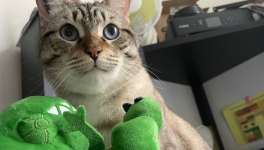 La Faim des Dinosaures - partie 2