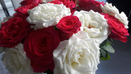 A ma mère, une Maman hors normes