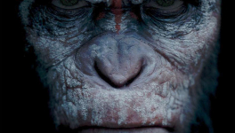 La Planète des Singes : l'Affrontement