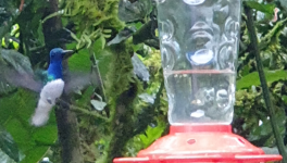 Au Nord de l'Equateur : Mindo, Ottavalo