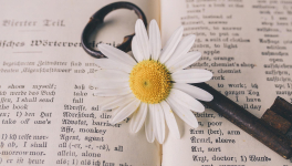 Abécédaire Open Opale