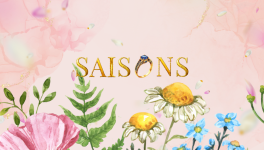 SAISONS - La nouvelle de Louisa - âge : 23 ans