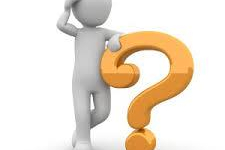 Les raisons d un voyage