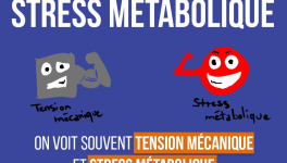 La tension mécanique et le stress métabolique