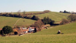 Dans les parfums de mon enfance