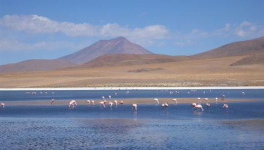 Le clou du spectacle : el Salar de Uyuni