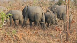 Carnet de voyage au Burkina Faso
