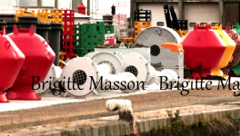 La valse des lèves-conteneurs automatisés au Havre