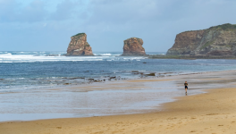 Une vie d'amour : 08 — Hendaye