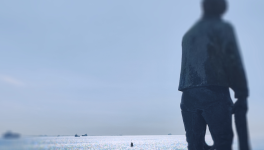 Zélande : envie d'un bon polder ?