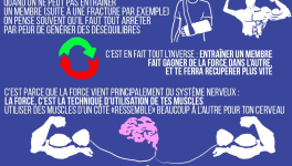 Entraîner un membre fait prendre de la force dans l'autre ?!