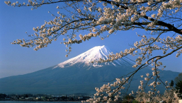 Ikigaï avec l'astrologie