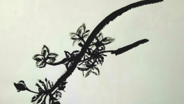 (Re)cueillir les fleurs sur l'arbre des souvenirs