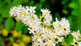 Chapitre 4 : La nuit des esprits