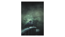 Les chansons qui marquent