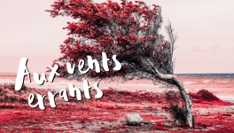 Aux vents errants