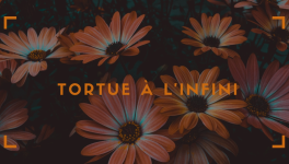 J'ai lu Tortue à l'infini de John Green 