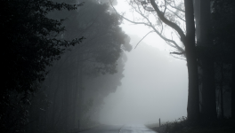 C'è ancora una speranza