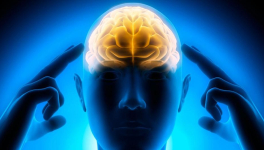 En vérité, avoir le sens de l'humour est une preuve de bon sens !