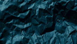 3/ Lendemain de fête