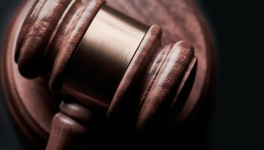 LES DROITS D'UTILISATION ET DE REPRODUCTION EN PHOTOGRAPHIE.