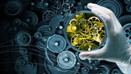 Aphorisme n°14 : La Fiction