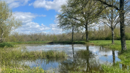 Conversation avec Benoit et Emmanuel sur la société liquide.