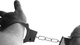 Le "faut pas" du sénateur