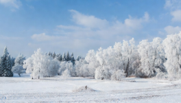 La neige qui illumine