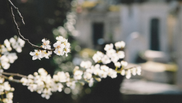 Si j'étais une autre