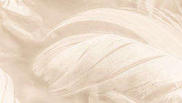 Ces instants interdits ...