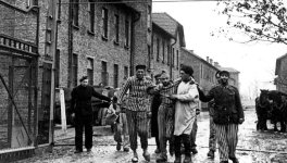 Le Portail d'Auschwitz (chanson)