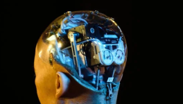 Haut Potentiel Intellectuel