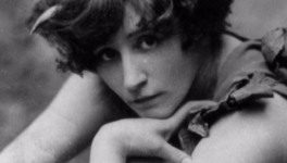 Les quatre éléments de Colette