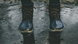 La PAL de Novembre 2024