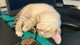 Why I don't accept every network connections