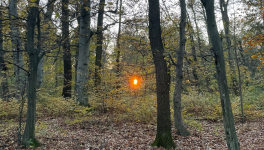 Small Blue Poem About Compassion