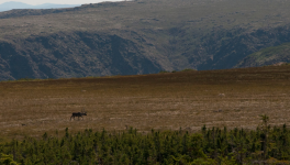 Deuxième partie (2015)