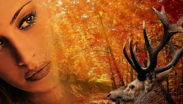 Rut